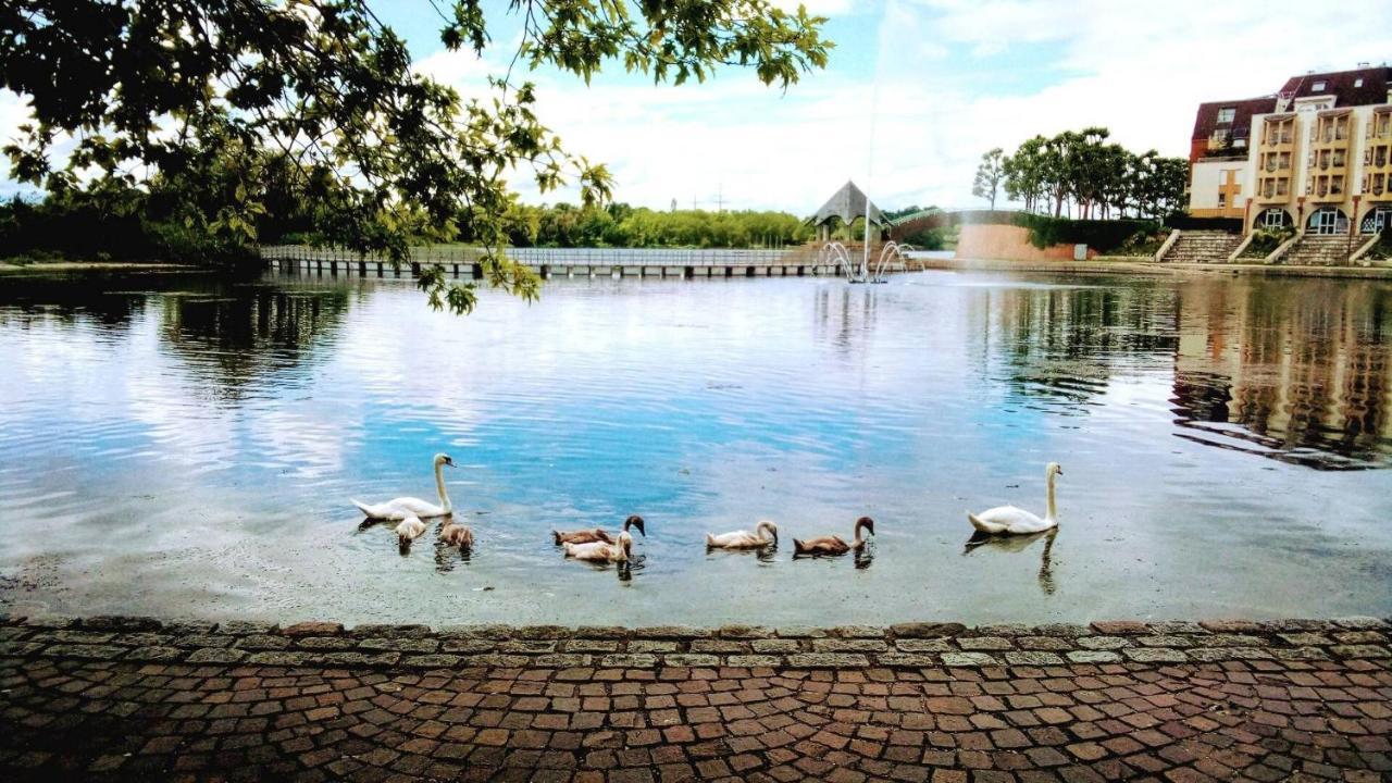 Vue Exceptionnelle Sur Le Lac Créteil Buitenkant foto