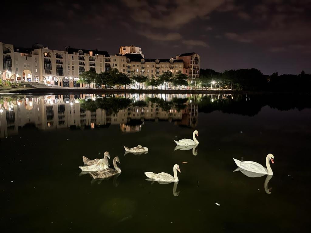 Vue Exceptionnelle Sur Le Lac Créteil Buitenkant foto
